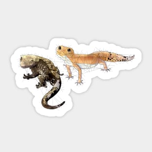 Geckos Sticker